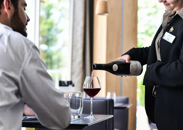 Hotel Mercure Centre Beaune (Cote d'Or)